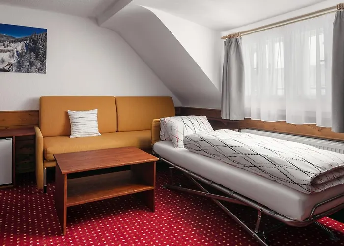 ゲストハウス U Komarku 3*